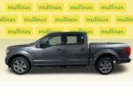 2019 F-150 Thumbnail 11