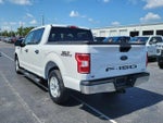 2019 F-150 Thumbnail 7