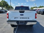 2019 F-150 Thumbnail 8