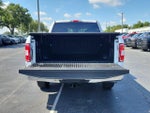 2019 F-150 Thumbnail 10