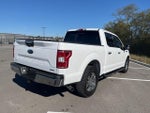 2019 F-150 Thumbnail 4