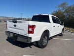 2019 F-150 Thumbnail 4