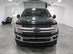 2019 F-150 Thumbnail 2