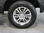 2019 F-150 Thumbnail 7