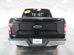 2019 F-150 Thumbnail 10