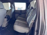 2020 F-150 Thumbnail 12