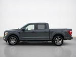 2021 F-150 Thumbnail 4