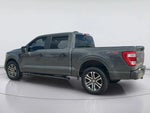 2021 F-150 Thumbnail 6