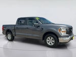 2021 F-150 Thumbnail 3
