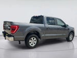 2021 F-150 Thumbnail 4