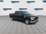 2023 F-150 Thumbnail 2
