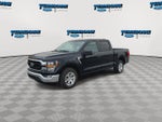 2023 F-150 Thumbnail 4