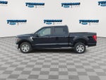 2023 F-150 Thumbnail 5
