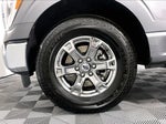 2023 F-150 Thumbnail 8