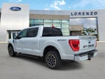 2021 F-150 Thumbnail 7