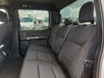 2021 F-150 Thumbnail 13