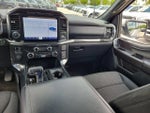 2021 F-150 Thumbnail 16