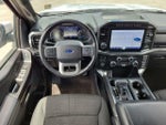 2021 F-150 Thumbnail 18