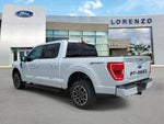 2021 F-150 Thumbnail 7