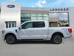 2021 F-150 Thumbnail 8