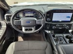 2021 F-150 Thumbnail 16