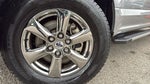 2020 F-150 Thumbnail 8