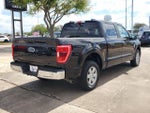2023 F-150 Thumbnail 3