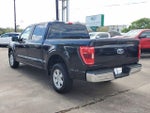 2023 F-150 Thumbnail 4