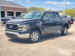 2023 F-150 Thumbnail 31