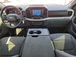 2023 F-150 Thumbnail 12