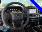 2023 F-150 Thumbnail 11