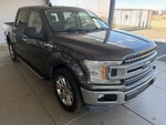 2019 F-150 Thumbnail 3