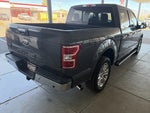 2019 F-150 Thumbnail 4