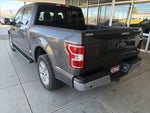 2019 F-150 Thumbnail 6