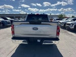 2023 F-150 Thumbnail 4