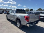2023 F-150 Thumbnail 5