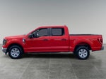 2023 F-150 Thumbnail 2