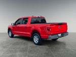 2023 F-150 Thumbnail 3
