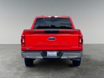 2023 F-150 Thumbnail 4