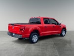 2023 F-150 Thumbnail 5