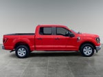 2023 F-150 Thumbnail 6