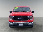 2023 F-150 Thumbnail 8