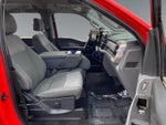 2023 F-150 Thumbnail 15