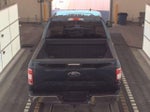 2019 F-150 Thumbnail 10