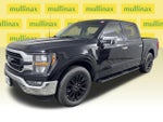 2023 F-150 Thumbnail 15