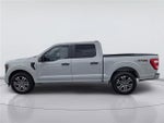 2023 F-150 Thumbnail 5