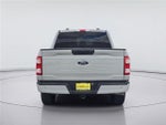 2023 F-150 Thumbnail 7