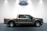 2023 F-150 Thumbnail 3