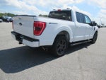 2023 F-150 Thumbnail 5