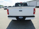 2023 F-150 Thumbnail 6